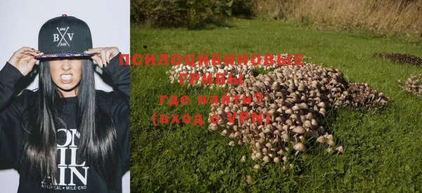 дурь Белоозёрский