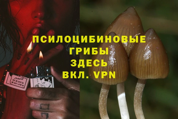 кокаин колумбия Белокуриха
