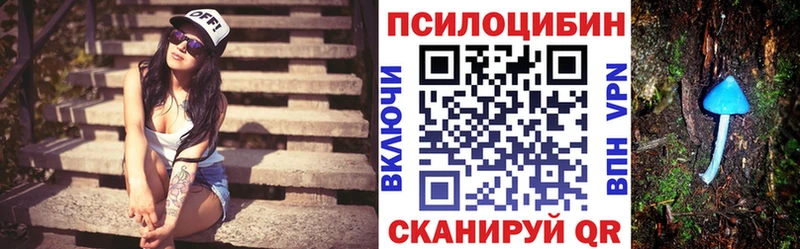 Псилоцибиновые грибы мицелий Полесск